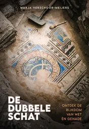 Omslag van De dubbele schat