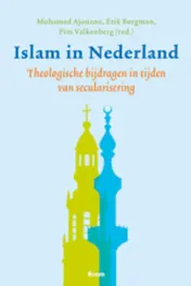 Omslag van Islam in Nederland