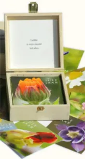 Omslag van Jule Jaar Natuurlijke Inzichtkaarten