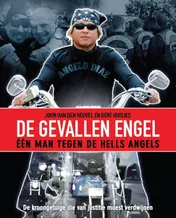 Omslag van De gevallen engel