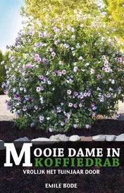 Omslag van Mooie Dame in Koffiedrab