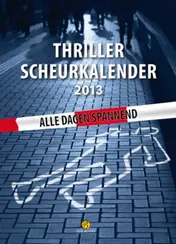 Omslag van 2013