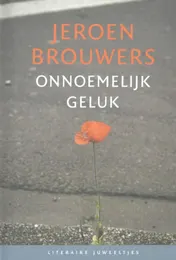 Omslag van Onnoemelijk geluk