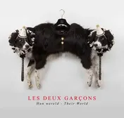 Omslag van Les deux garcons
