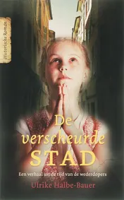 Omslag van De verscheurde stad