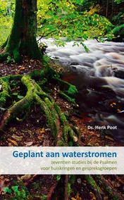 Omslag van Geplant aan waterstromen