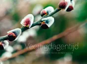 Omslag van Veertigdagentijd