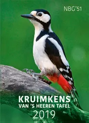 Omslag van 2019
