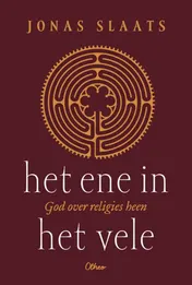 Omslag van Het ene in het vele