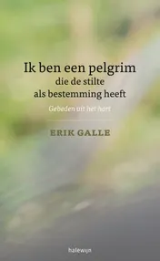 Omslag van Ik ben een pelgrim die de stilte als bestemming heeft