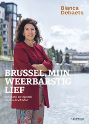 Omslag van Brussel, mijn weerbarstig lief