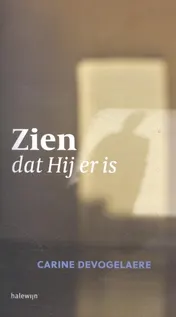 Omslag van Zien dat Hij er is