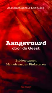 Omslag van Aangevuurd door de geest