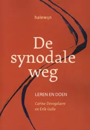 Omslag van De synodale weg