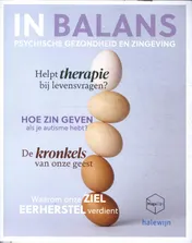 Omslag van In balans. Psychische gezondheid en zingeving