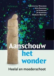 Omslag van Aanschouw het wonder