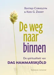 Omslag van De weg naar binnen