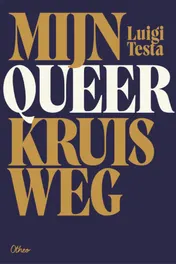 Omslag van Mijn queer kruisweg