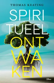 Omslag van Spiritueel ontwaken