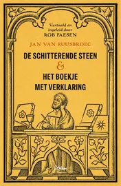 Omslag van De schitterende steen & Het boekje met verklaring