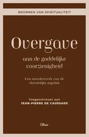Omslag van Overgave aan de goddelijke voorzienigheid