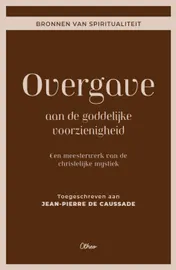 Omslag van Overgave aan de goddelijke voorzienigheid