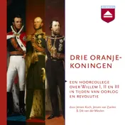 Omslag van Drie Oranjekoningen