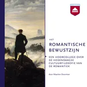 Omslag van Het romantische bewustzijn