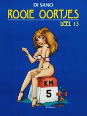 Omslag van 13