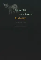 Omslag van De herfst van Zorro