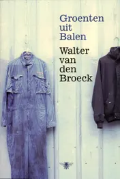 Omslag van Groenten uit Balen