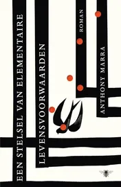 Omslag van Een stelsel van elementaire levensvoorwaarden
