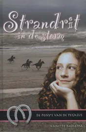 Omslag van Strandrit in de storm