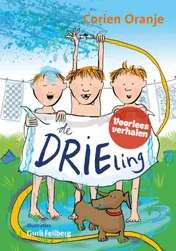 Omslag van De drieling