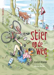 Omslag van Stier op de weg