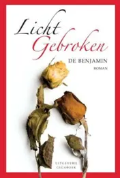 Omslag van Licht gebroken