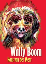 Omslag van Wally Boom