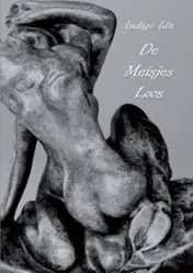Omslag van De meisjes loos