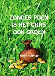 Omslag van Zonder poen is het gras ook groen