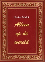 Omslag van Alleen op de wereld