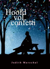 Omslag van Hoofd vol confetti