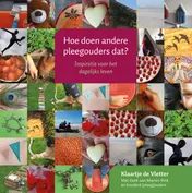 Omslag van Hoe doen andere pleegouders dat?