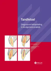 Omslag van Tandletsel