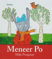 Omslag van Meneer Po