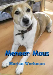 Omslag van Meneer Maus