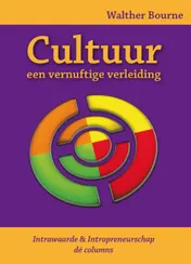 Omslag van Cultuur, een vernuftige verleiding