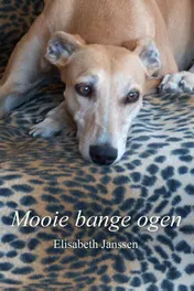 Omslag van Mooie bange ogen