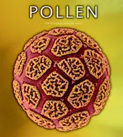 Omslag van Pollen