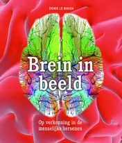Omslag van Brein in beeld