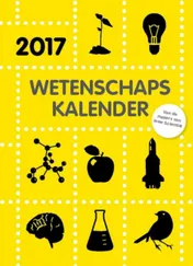 Omslag van 2017